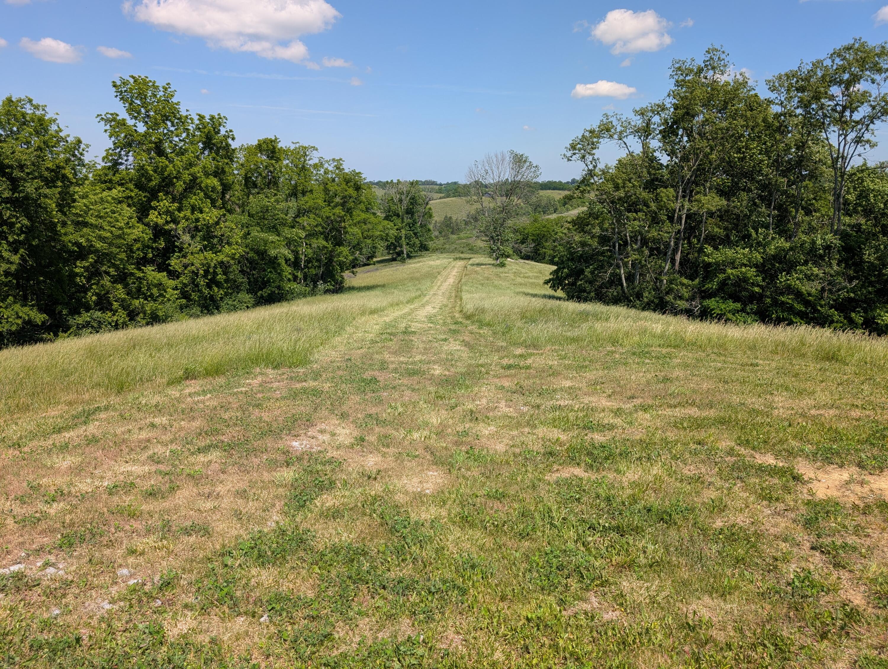 534 Maple Grove Road Richmond, KY 40475 - Photo 36 of 47 PXL_20260518_154923633.MP