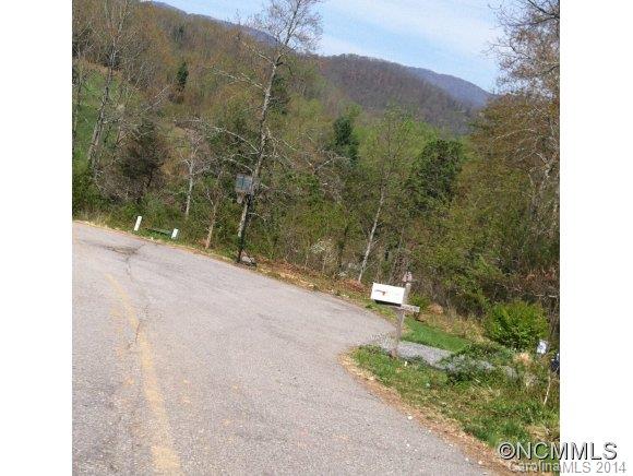 57 Farmstead Road, Unit 21 Leicester, NC 28748 - Photo 2 of 5 Gallery Image 2