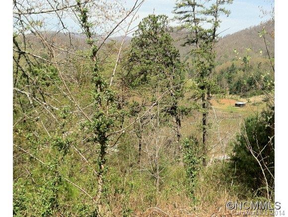 57 Farmstead Road, Unit 21 Leicester, NC 28748 - Photo 4 of 5 Gallery Image 4