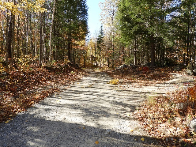 48 Beaver Brook Road Washington, NH 03280 - Photo 24 of 29