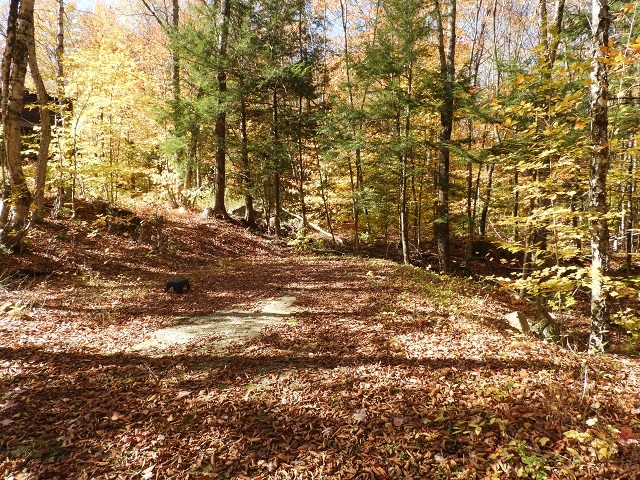 48 Beaver Brook Road Washington, NH 03280 - Photo 25 of 29