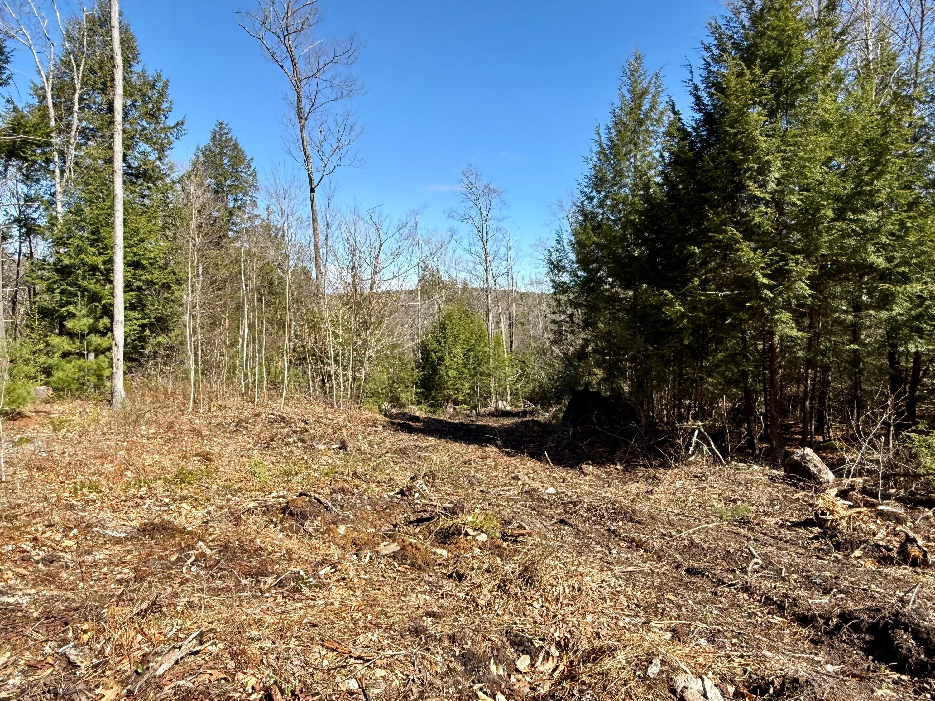 Map8-lot53b Buckfield Road South Paris, ME 04281 - Photo 1 of 8 IMG_2026-05-01-164744