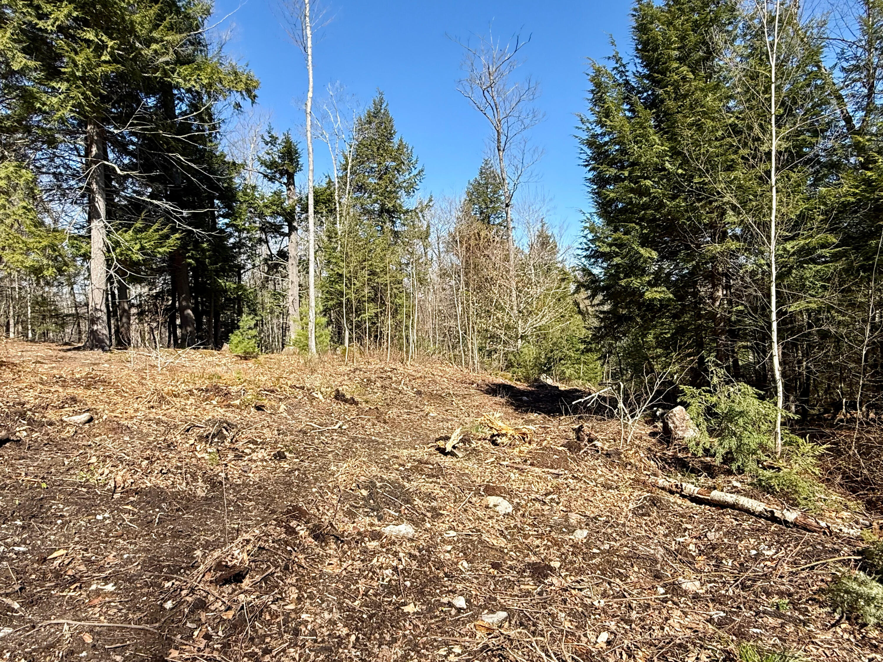 Map8-lot53b Buckfield Road South Paris, ME 04281 - Photo 3 of 8 IMG_2026-05-01-164927