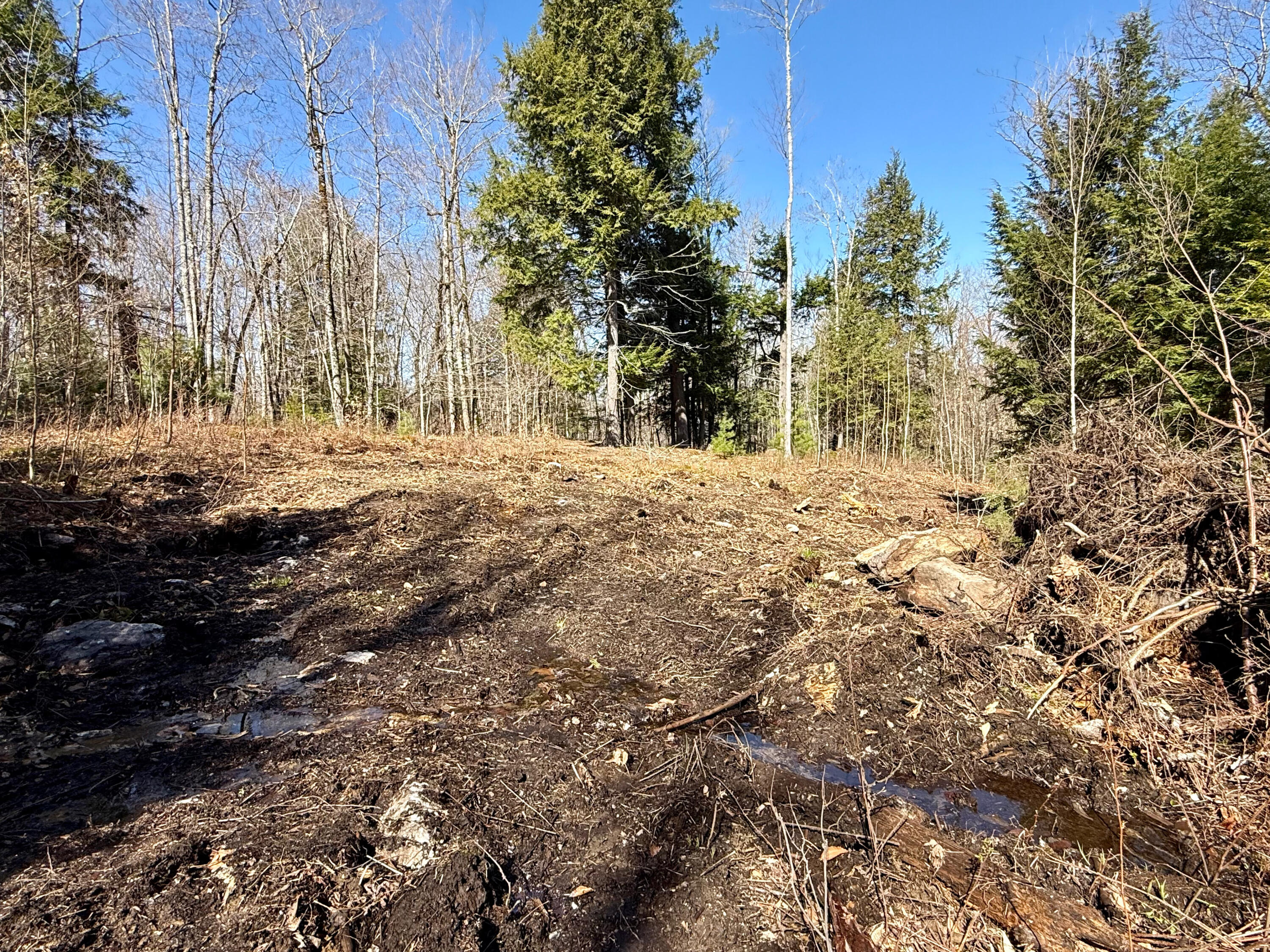 Map8-lot53b Buckfield Road South Paris, ME 04281 - Photo 4 of 8 IMG_2026-05-01-165523