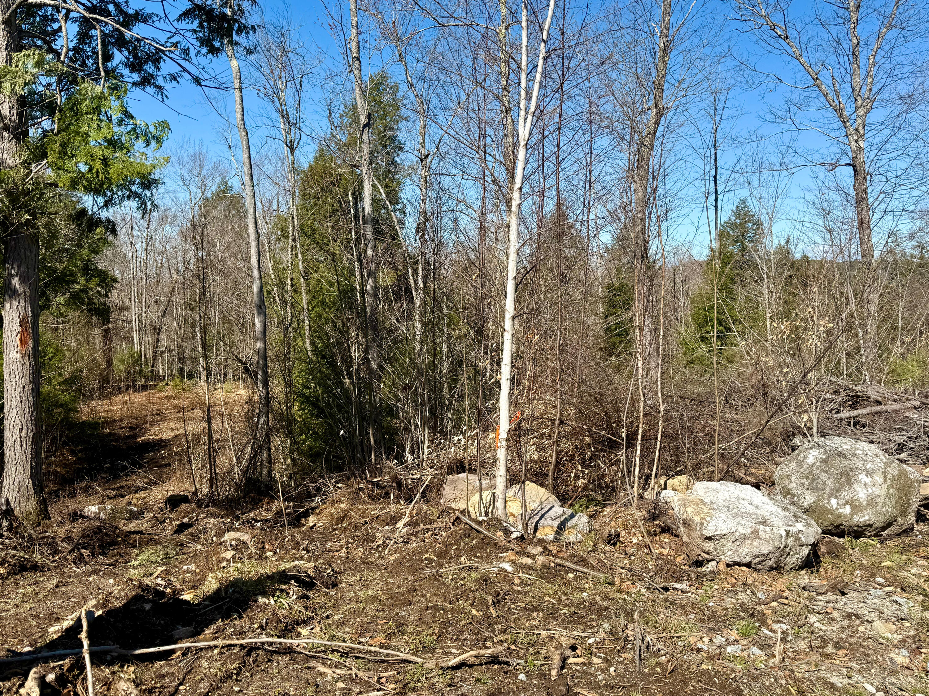 Map8-lot53b Buckfield Road South Paris, ME 04281 - Photo 5 of 8 IMG_2026-05-01-165053
