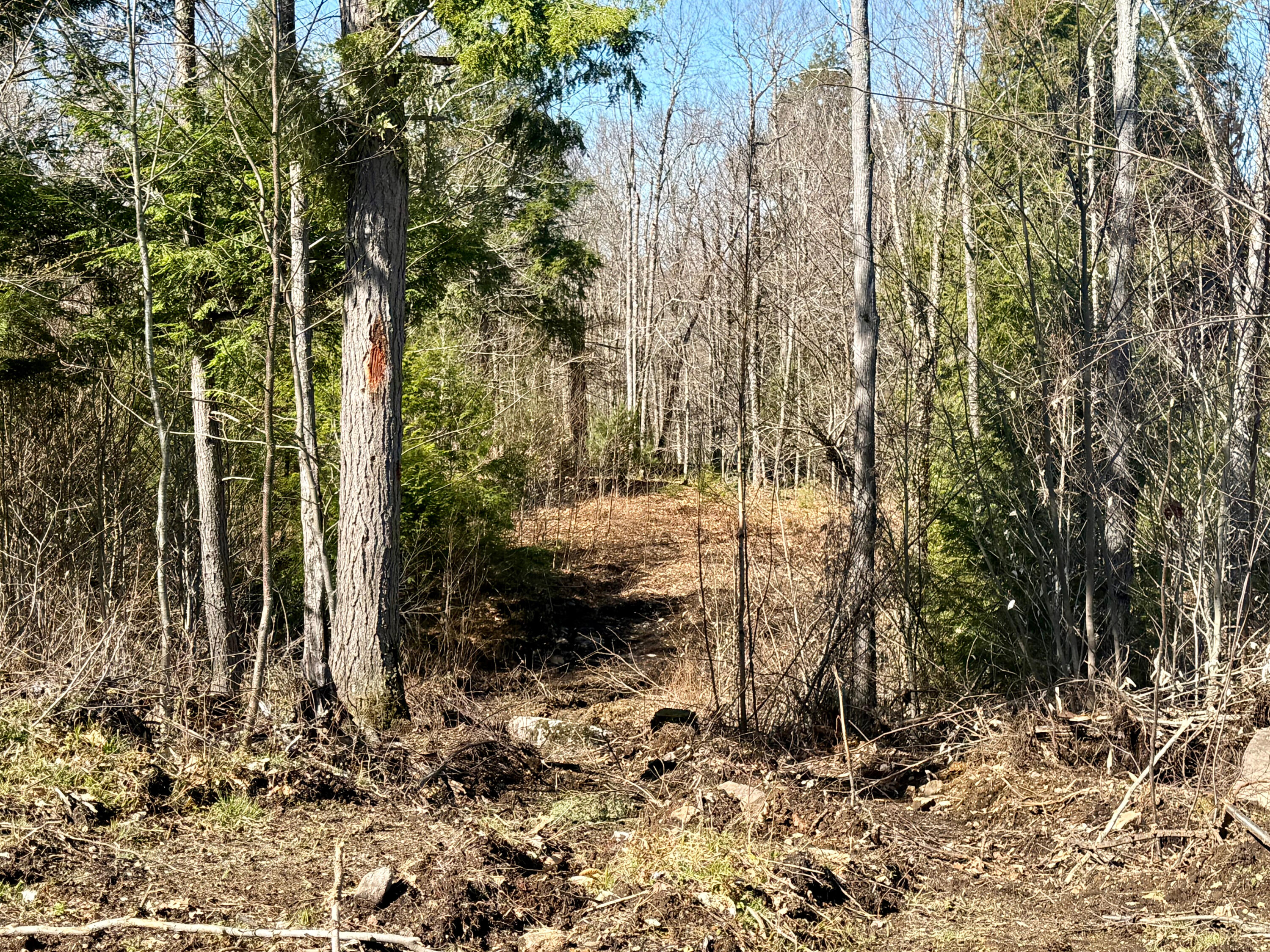 Map8-lot53b Buckfield Road South Paris, ME 04281 - Photo 6 of 8 IMG_2026-05-01-165149