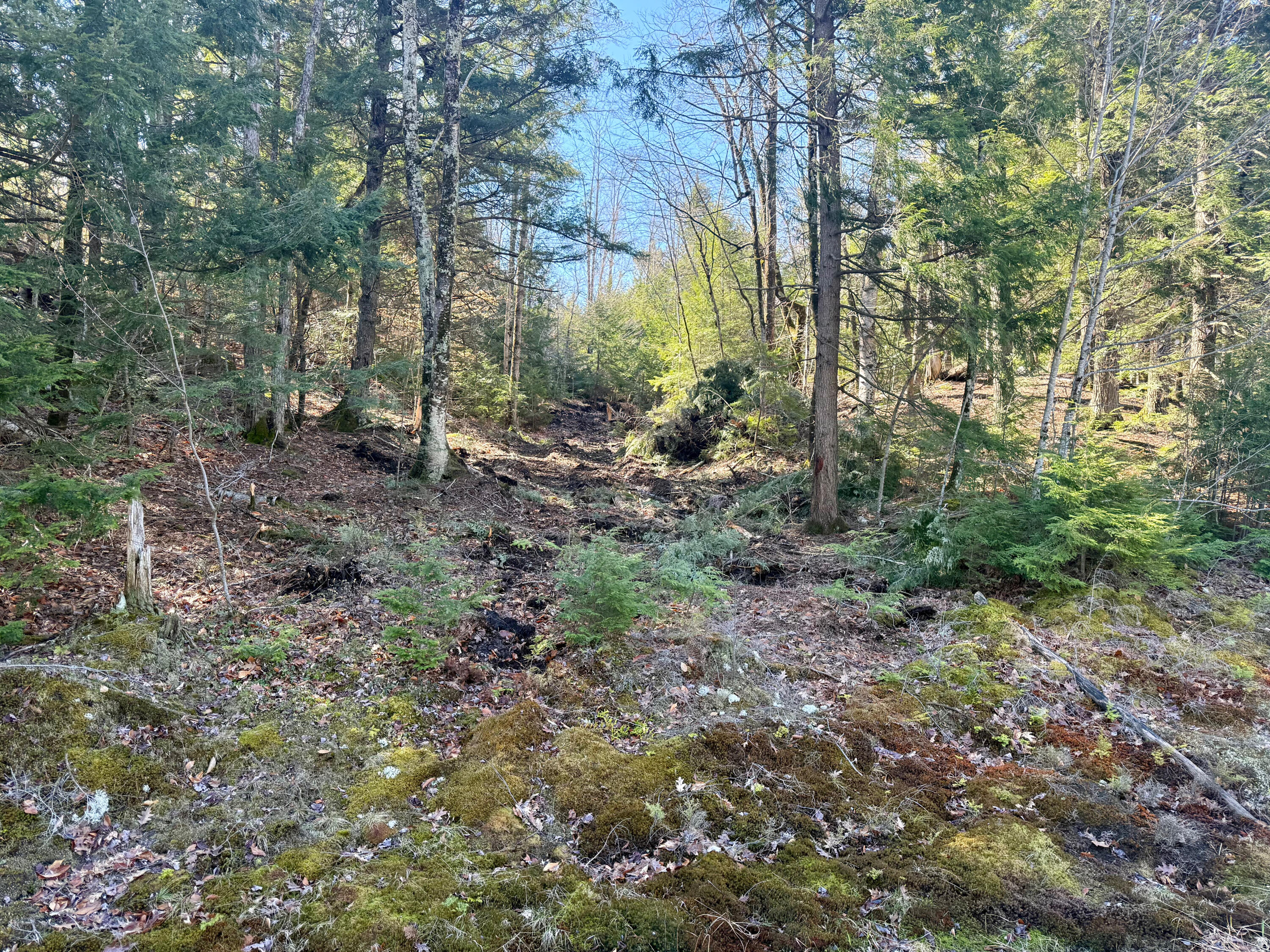 Map8-lot53b Buckfield Road South Paris, ME 04281 - Photo 8 of 8 IMG_2026-05-01-165346