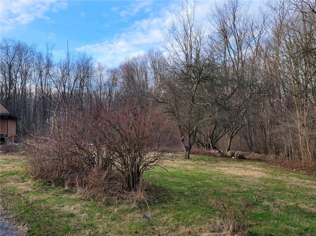 223 North Spring Road Mercer, PA 16137 - Photo 5 of 9 a view of outdoor space with trees