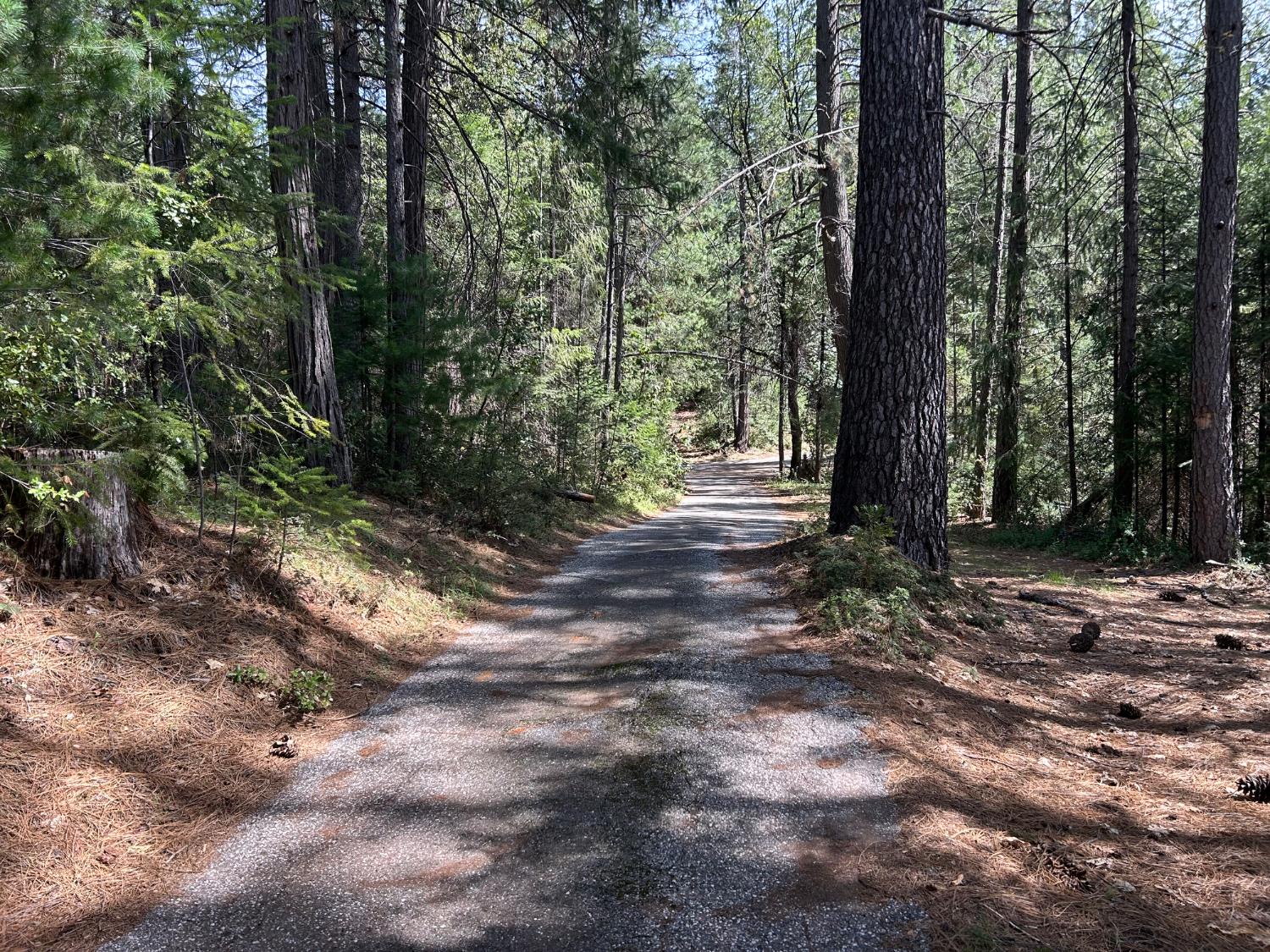 12483 Willow Valley Road Nevada City, CA 95959 - Photo 11 of 32