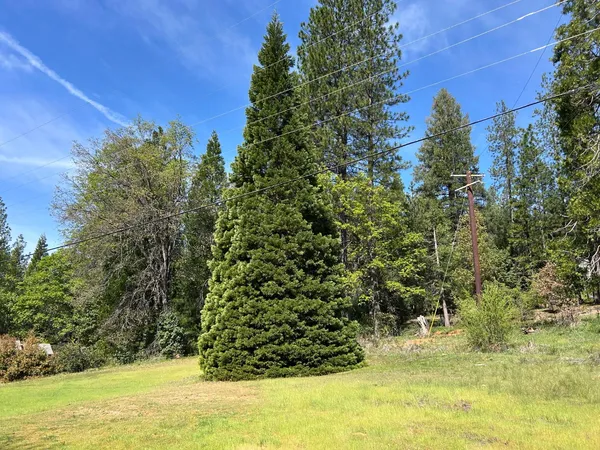 a view of a back yard