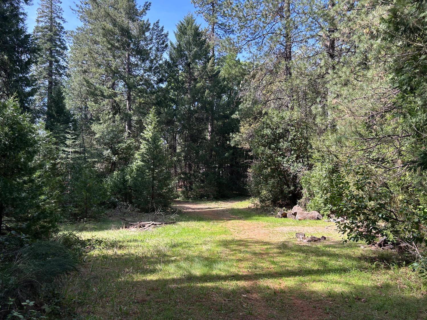 12483 Willow Valley Road Nevada City, CA 95959 - Photo 23 of 32