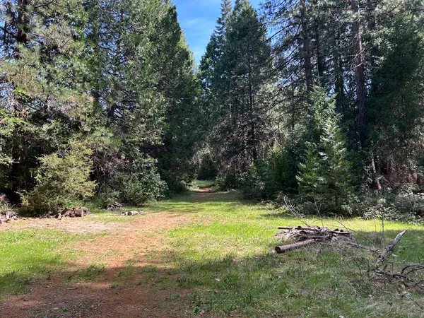 a view of outdoor space with trees all around