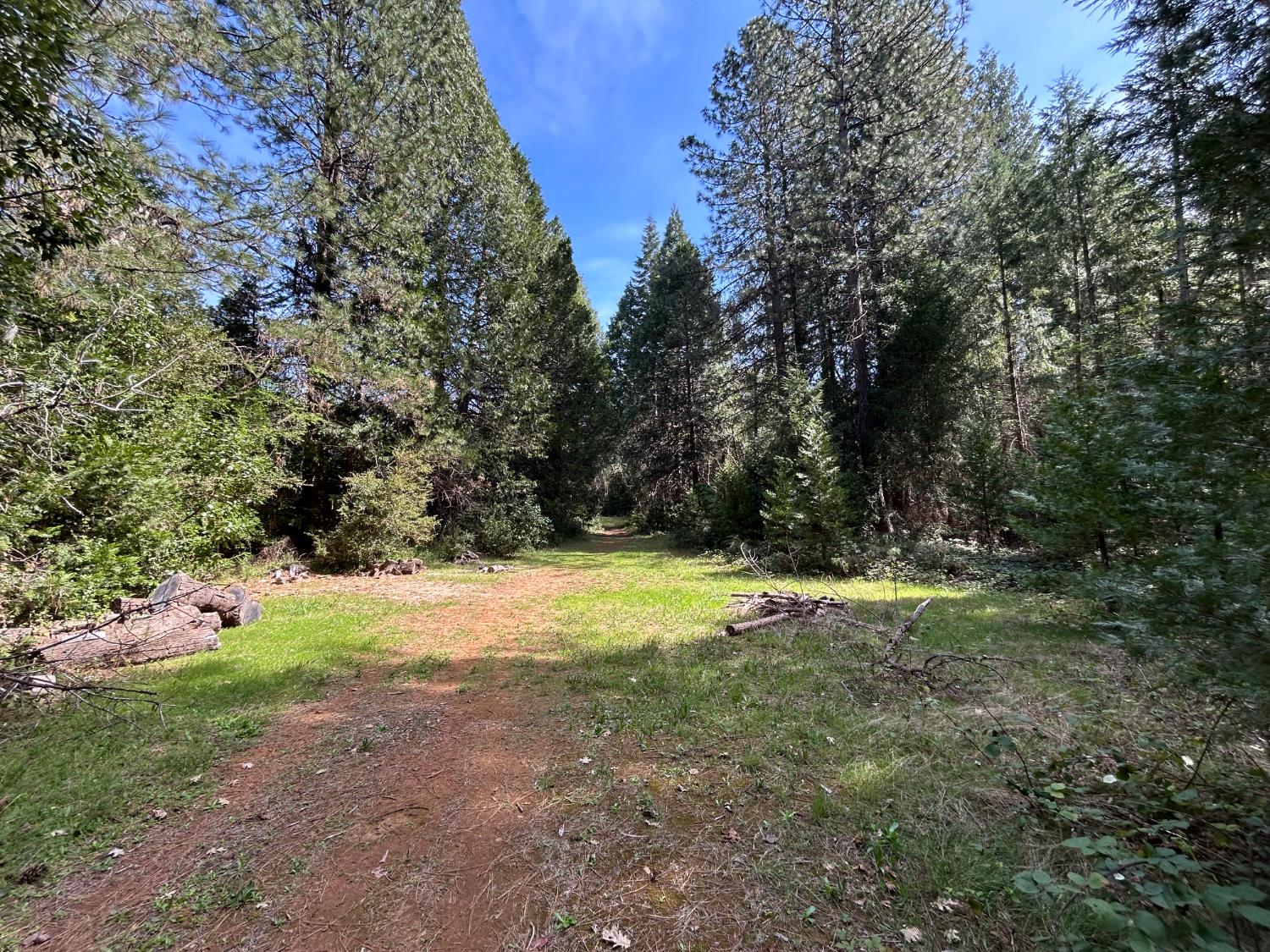 12483 Willow Valley Road Nevada City, CA 95959 - Photo 25 of 32