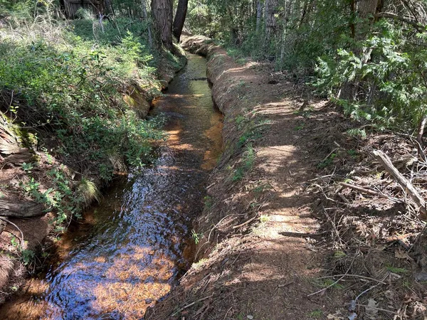a view of a yard with a house