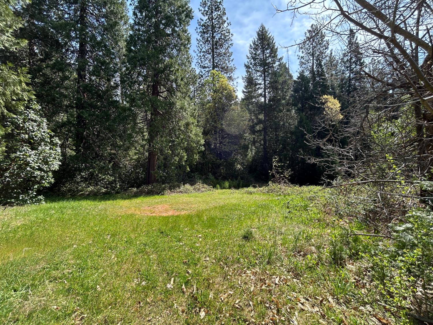 12483 Willow Valley Road Nevada City, CA 95959 - Photo 30 of 32