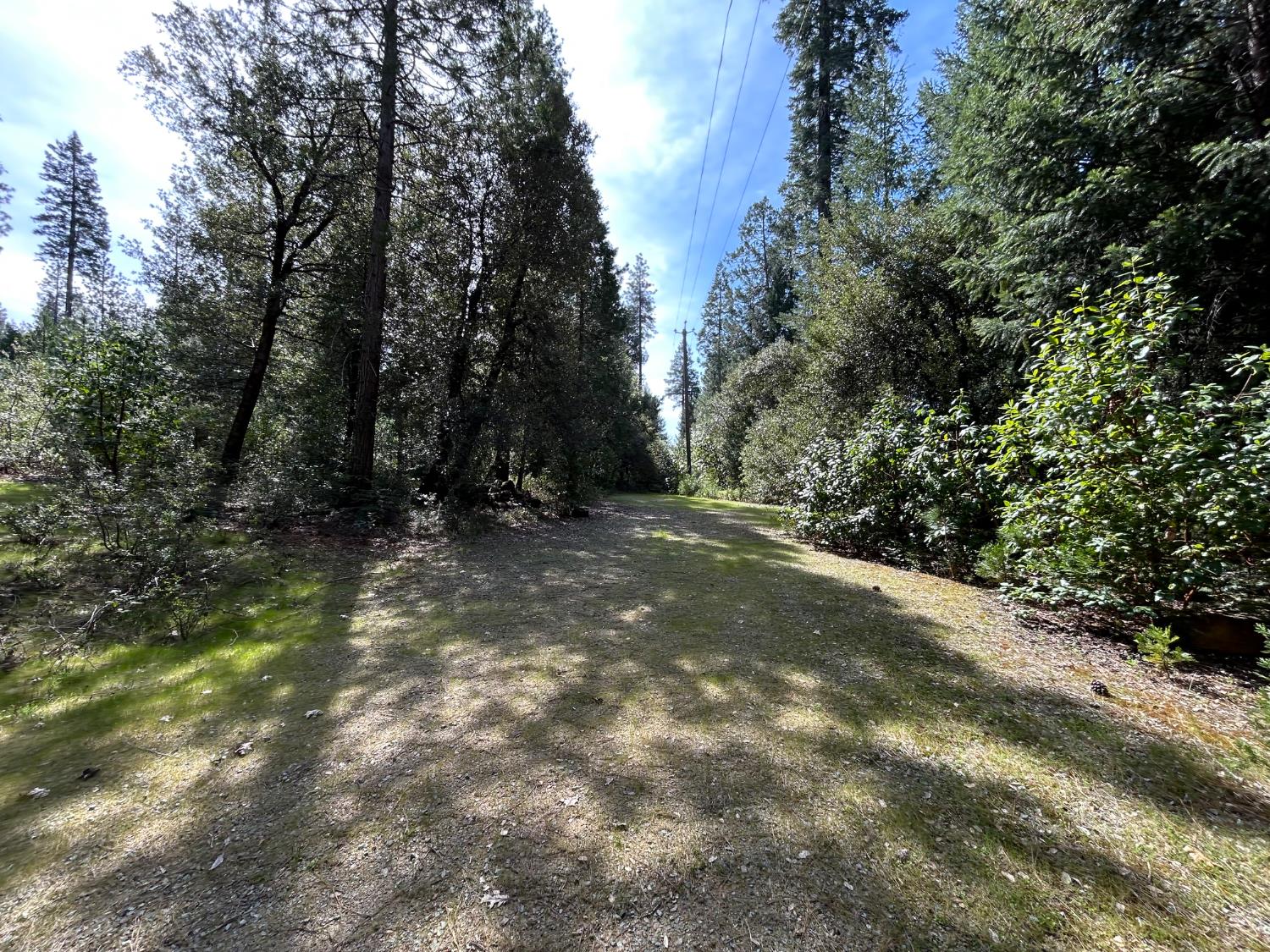 12483 Willow Valley Road Nevada City, CA 95959 - Photo 6 of 32