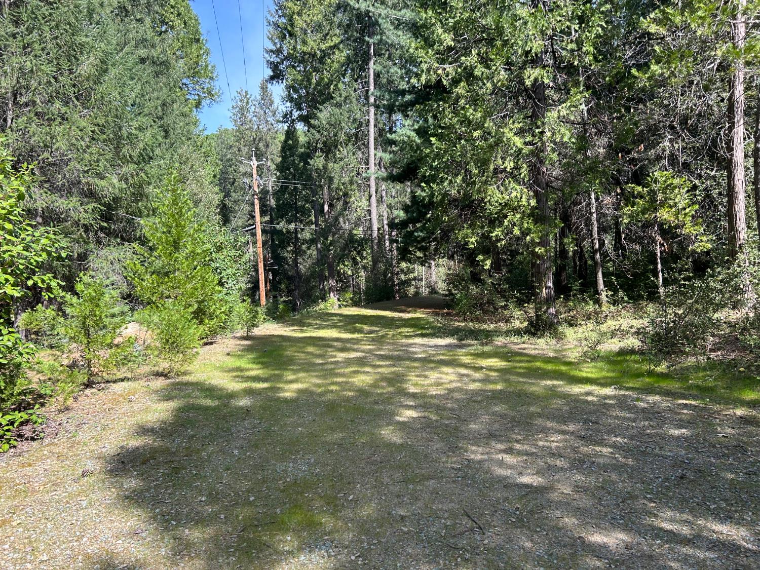 12483 Willow Valley Road Nevada City, CA 95959 - Photo 9 of 32