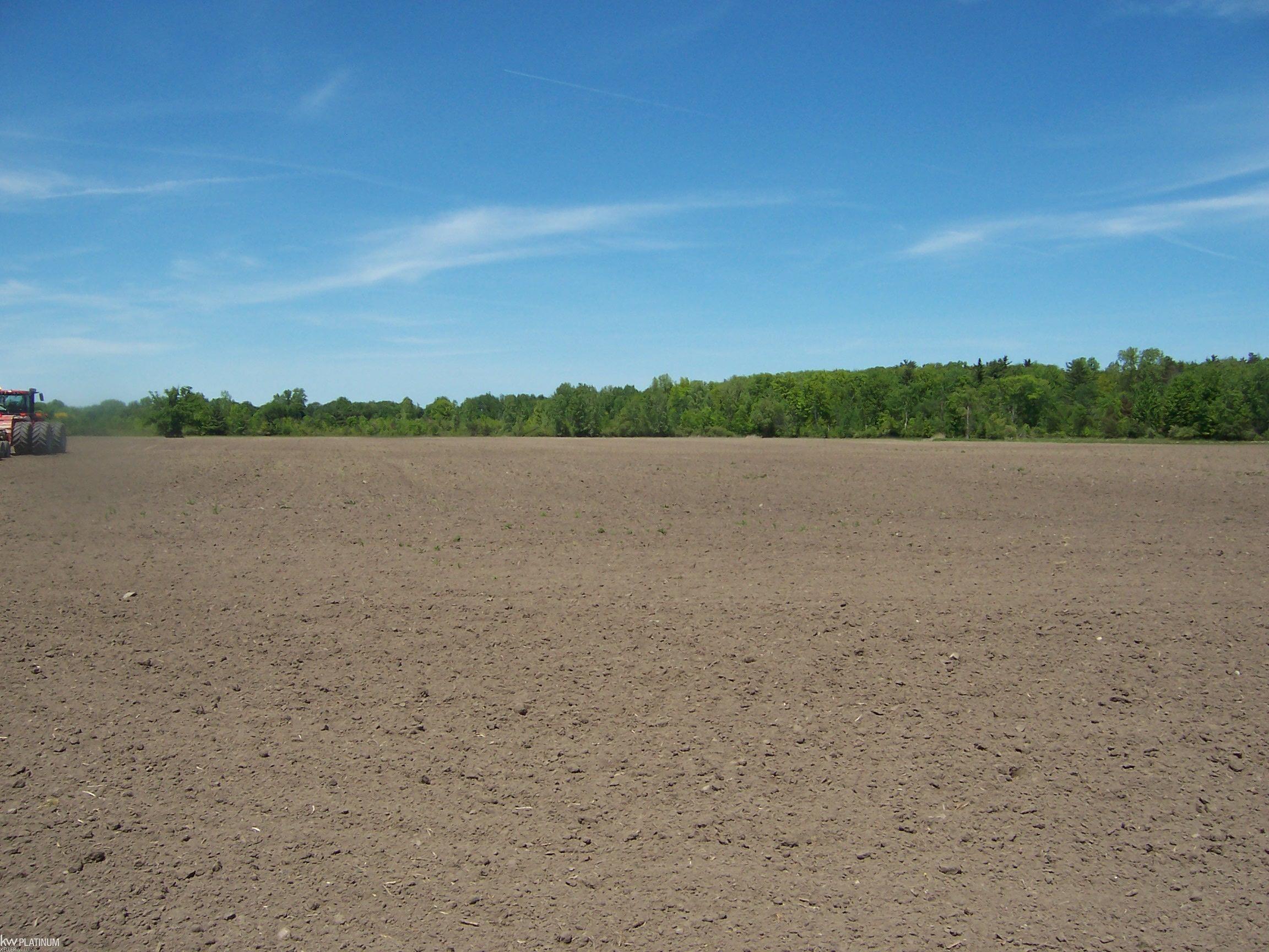 Lot 6 Lapeer Road Smiths Creek, MI 48074 - Photo 2 of 2