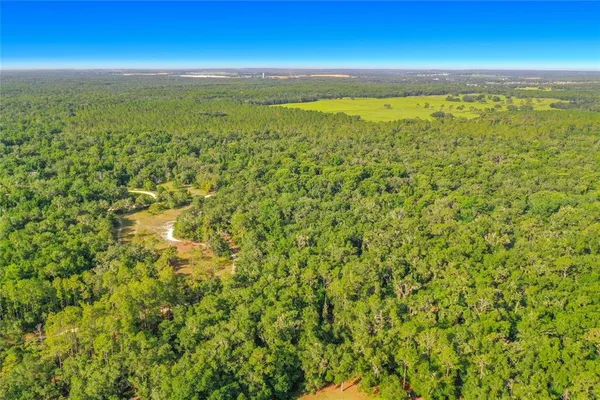 $29,950 | 33099 Coral Rock Drive, Webster, FL 33597