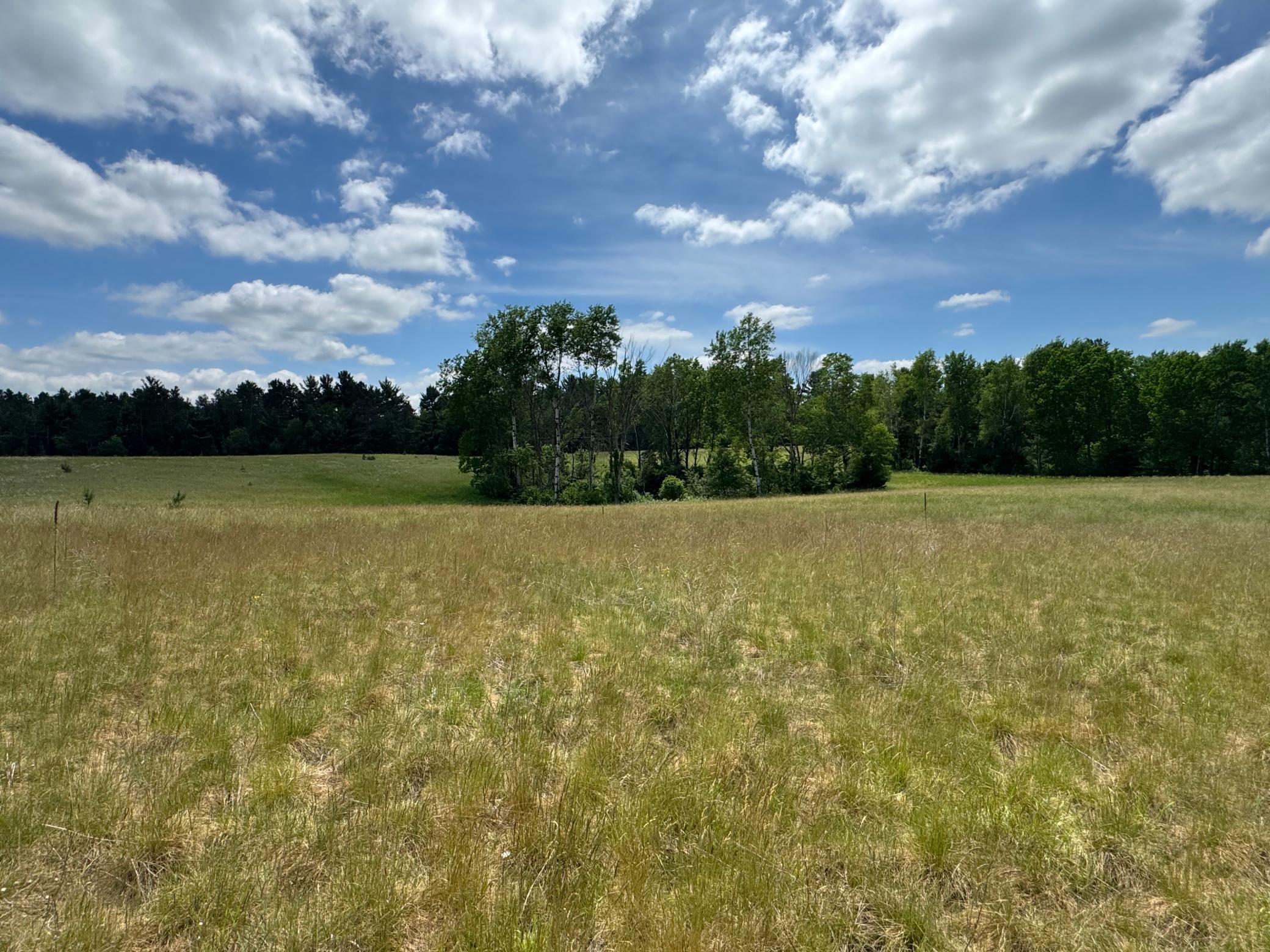 6398 Fred Tripp Road Springbrook, WI 54875 - Photo 29 of 30