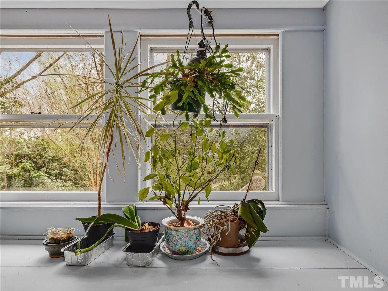 216 Hillcrest Road Raleigh, NC 27605 - Photo 24 of 49 a vase of flowers sitting on a table