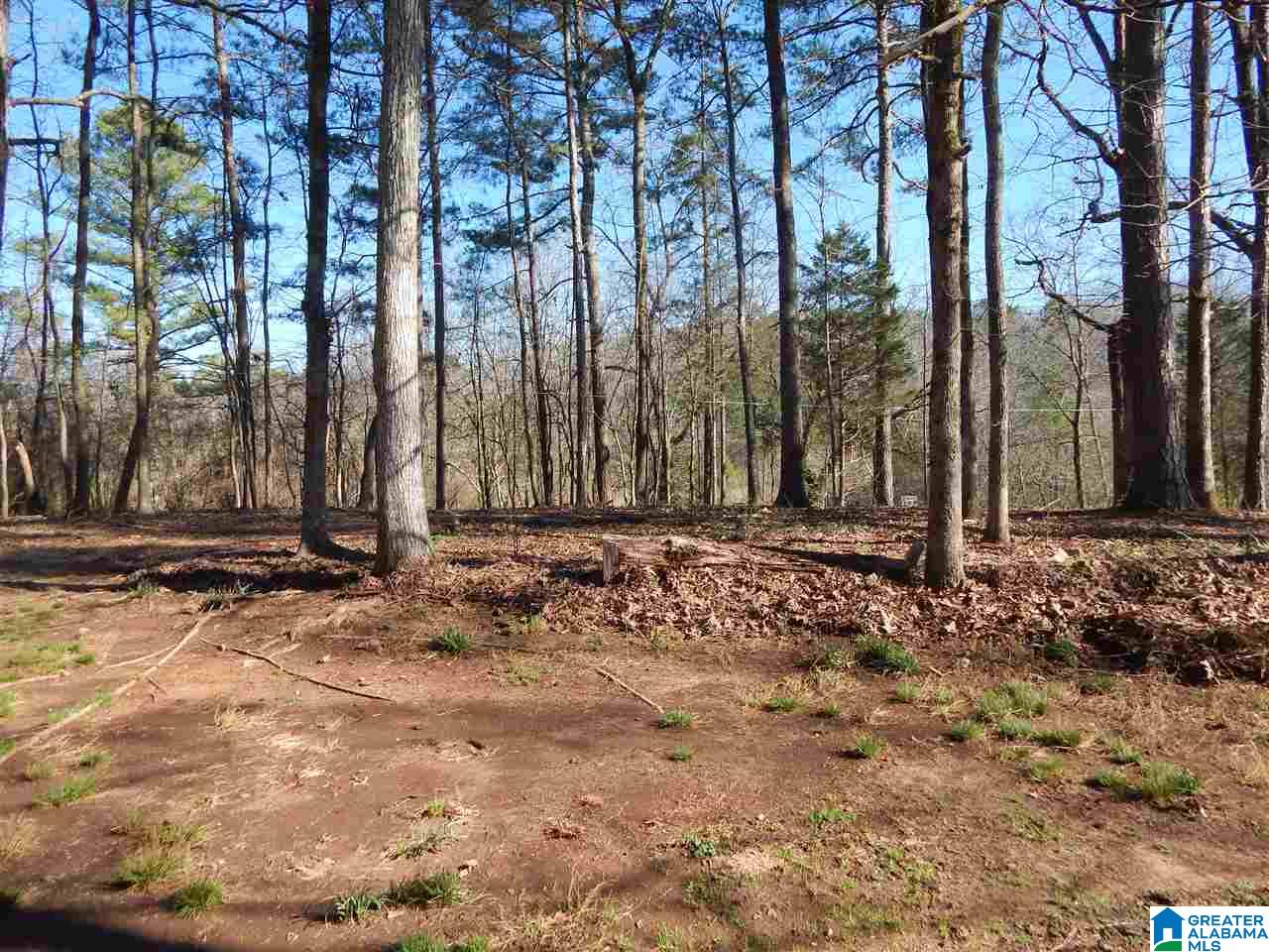 7450 Weems Road Trussville, AL 35173 - Photo 21 of 29