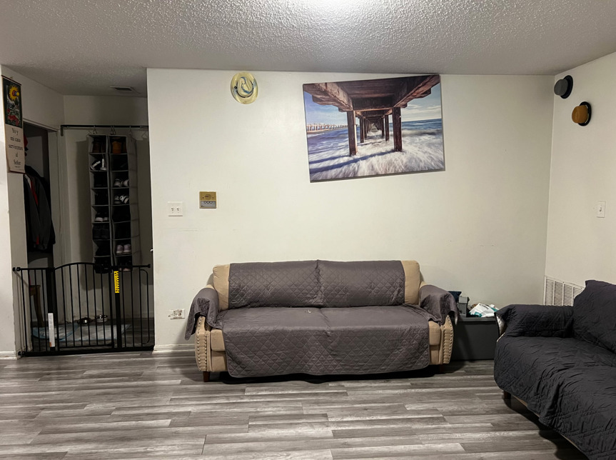 1955 North Hicks Road, Unit 105 Palatine, IL 60074 - Photo 3 of 14 a living room with furniture and a rug