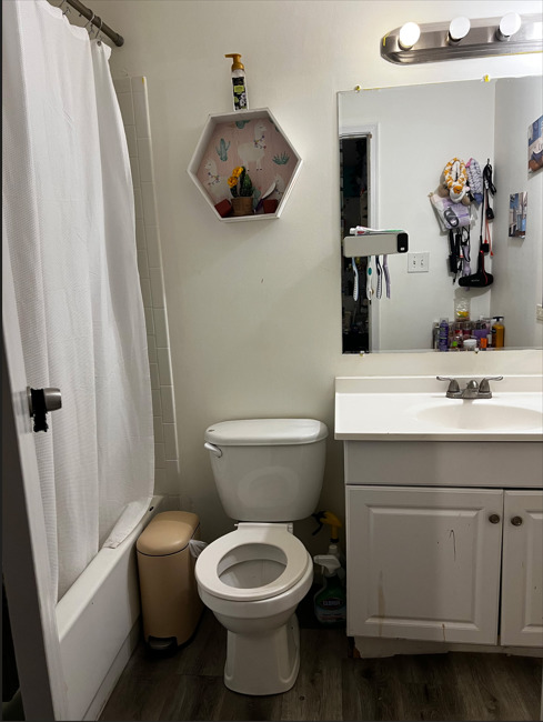 1955 North Hicks Road, Unit 105 Palatine, IL 60074 - Photo 9 of 14 a bathroom with a toilet sink and mirror