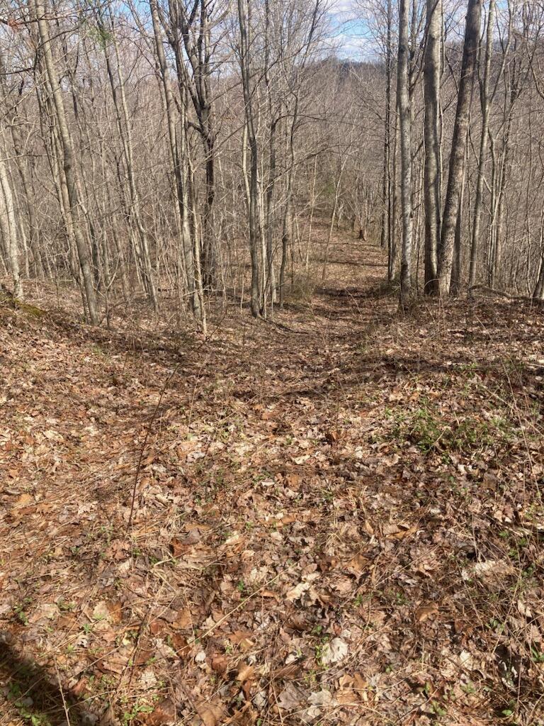 6 Toby Road Manchester, KY 40962 - Photo 2 of 14 731784373