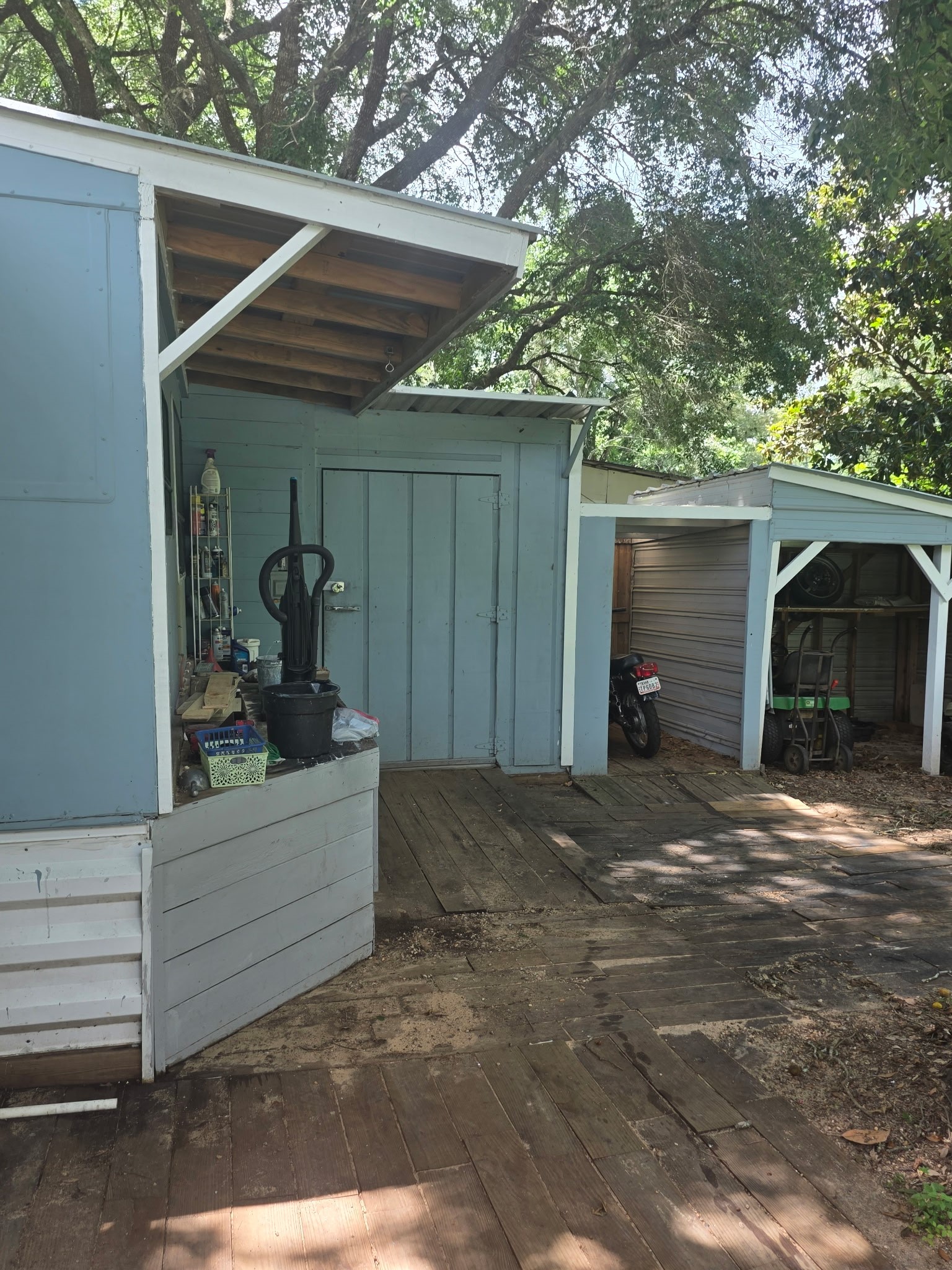 11 Pine Road Coldspring, TX 77331 - Photo 9 of 32 a view of backyard and tree