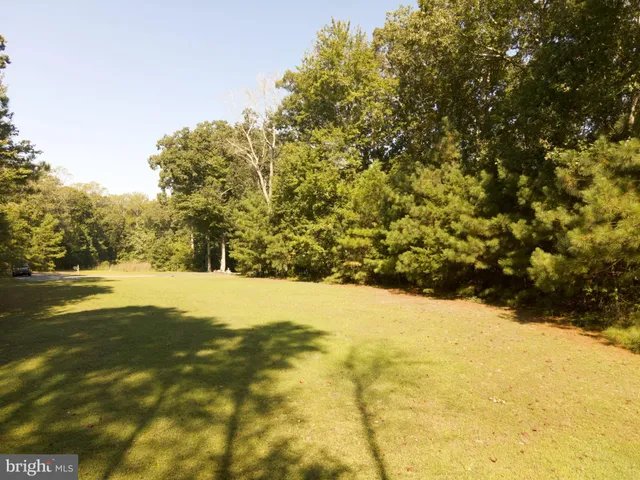 a view of outdoor space and covered with trees