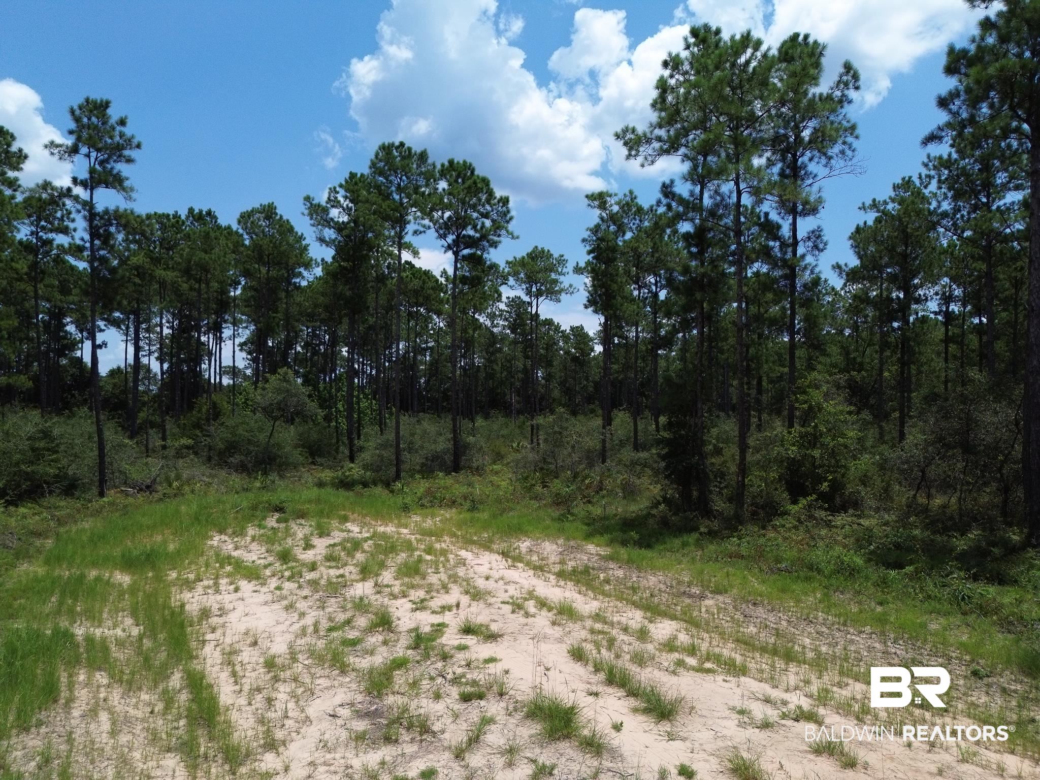 0 Kings Landing Road Seminole, AL 36574 - Photo 1 of 7