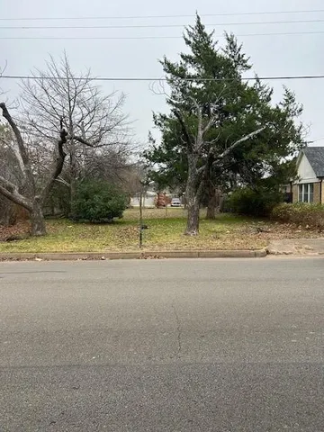 a view of a yard with a tree