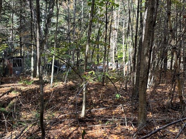 161 Forest Road Acworth, NH 03607 - Photo 6 of 8
