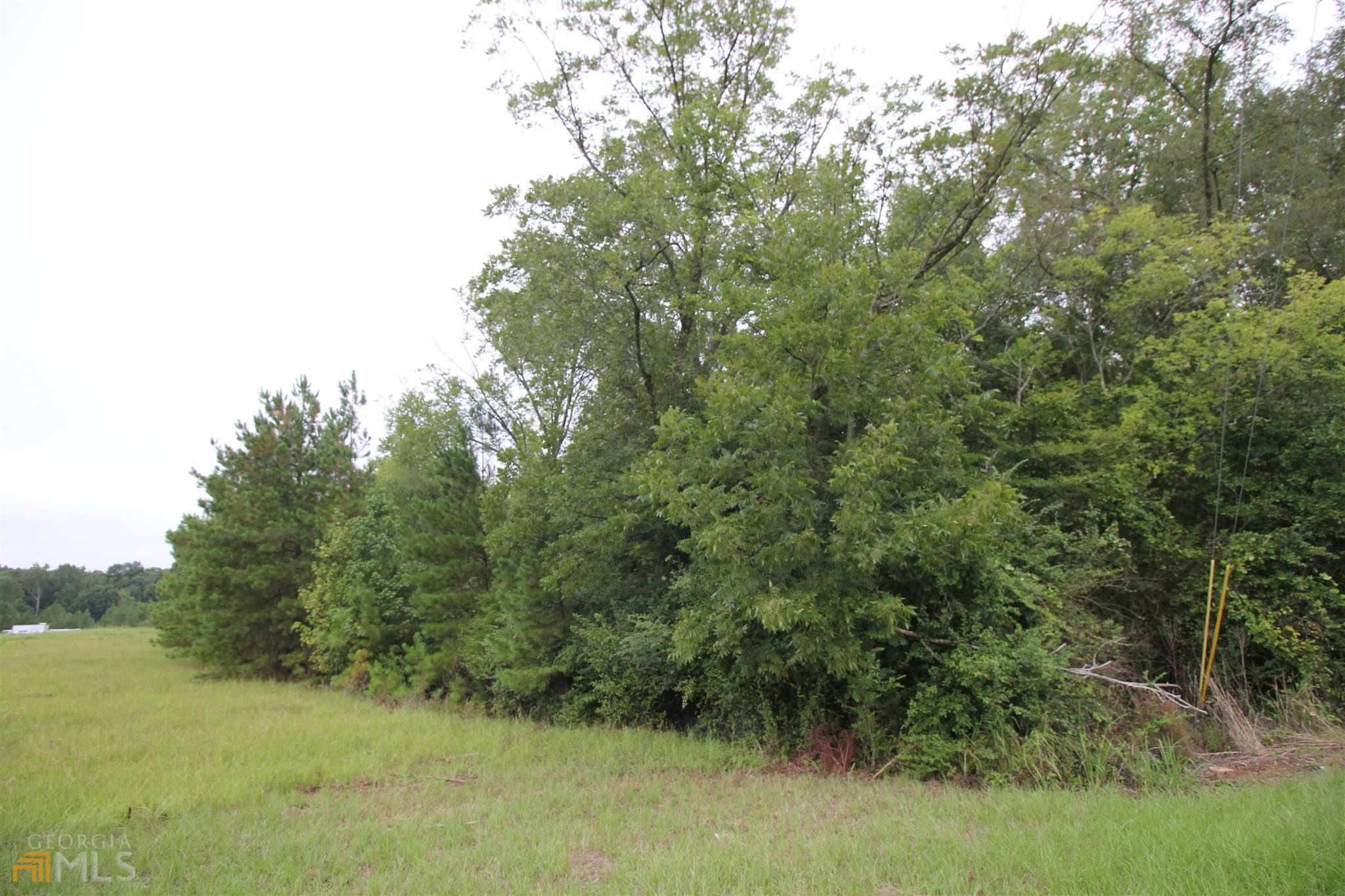 677 Dunlap Road Northeast Milledgeville, GA 31061 - Photo 3 of 7 a view of a forest with trees in the background