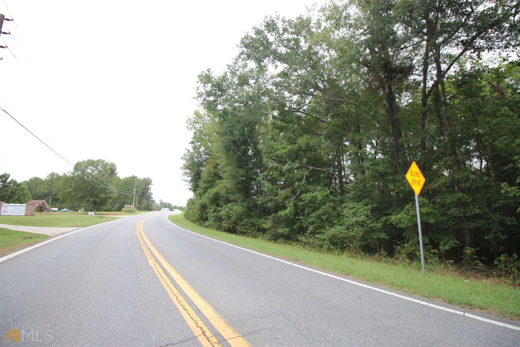 677 Dunlap Road Northeast Milledgeville, GA 31061 - Photo 6 of 7 a view of a yard with potted plants and palm trees