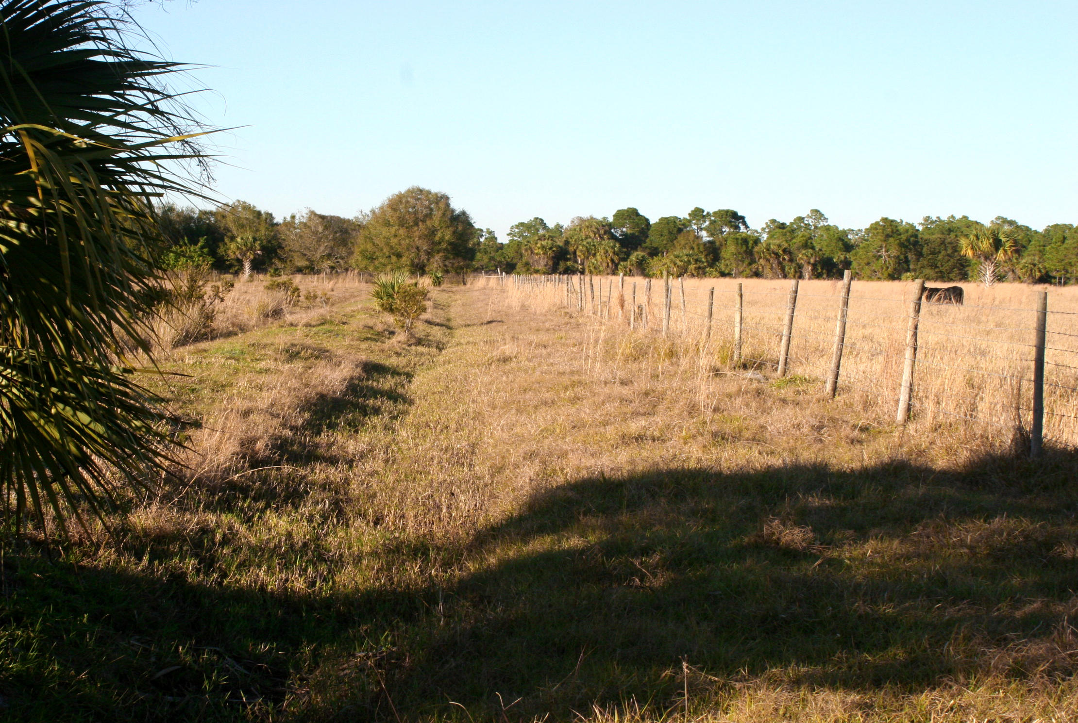 9400 Carlton Road Fort Pierce, FL 34987 - Photo 8 of 9 IMG_9229