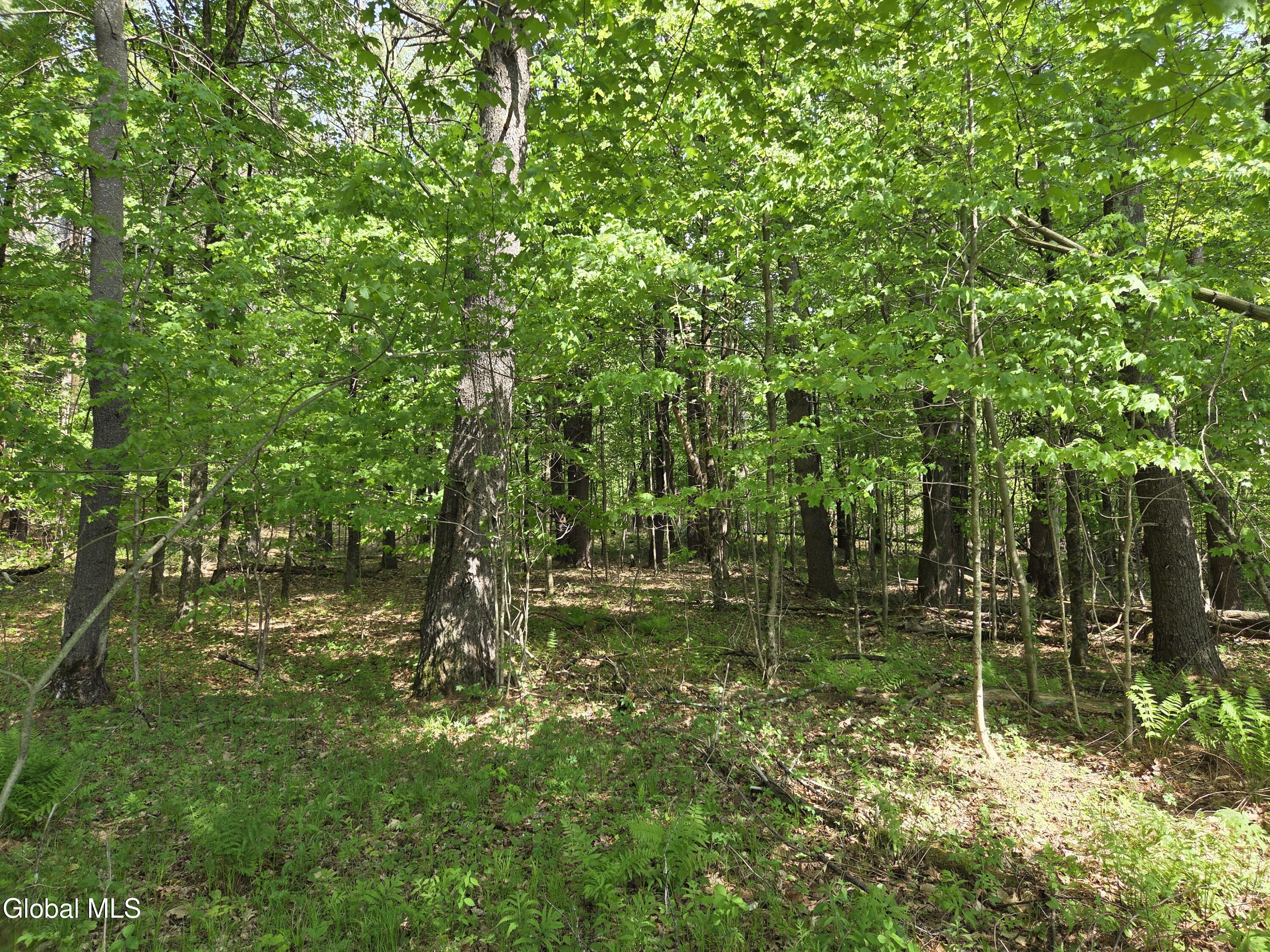 410 Middle Grove Road Middle Grove, NY 12850 - Photo 13 of 49 20260518_150543