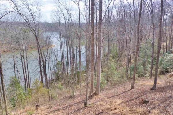 $165,000 | Lot 2 Buck Creek Road, Chesnee, SC 29323