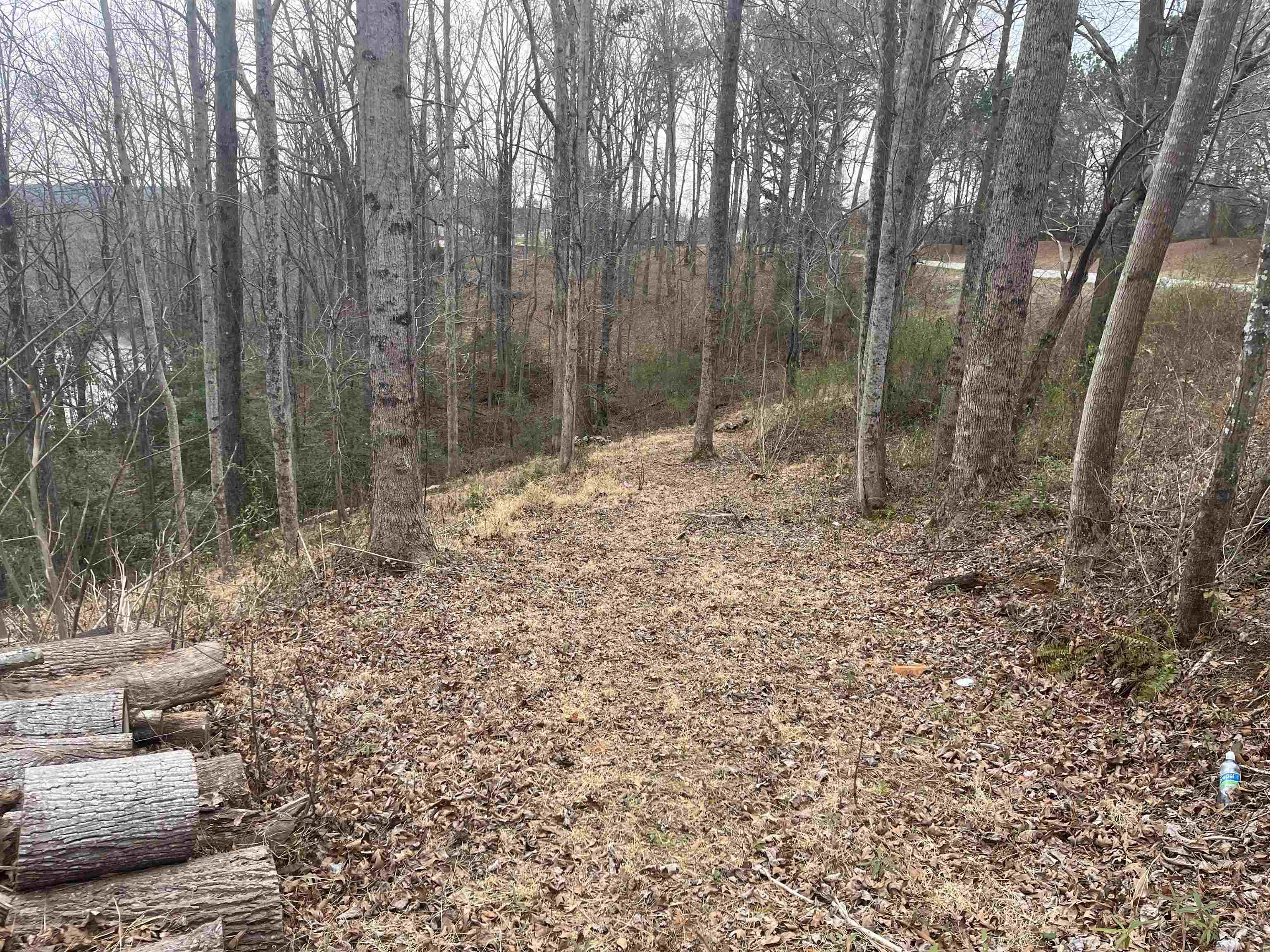 Lot 2 Buck Creek Road Chesnee, SC 29323 - Photo 14 of 15