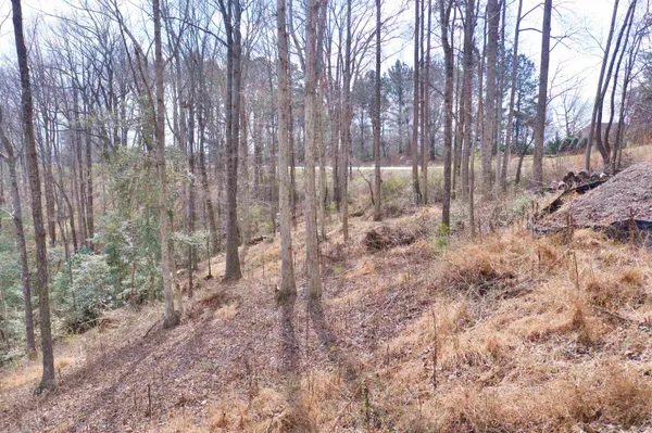 $165,000 | Lot 2 Buck Creek Road, Chesnee, SC 29323
