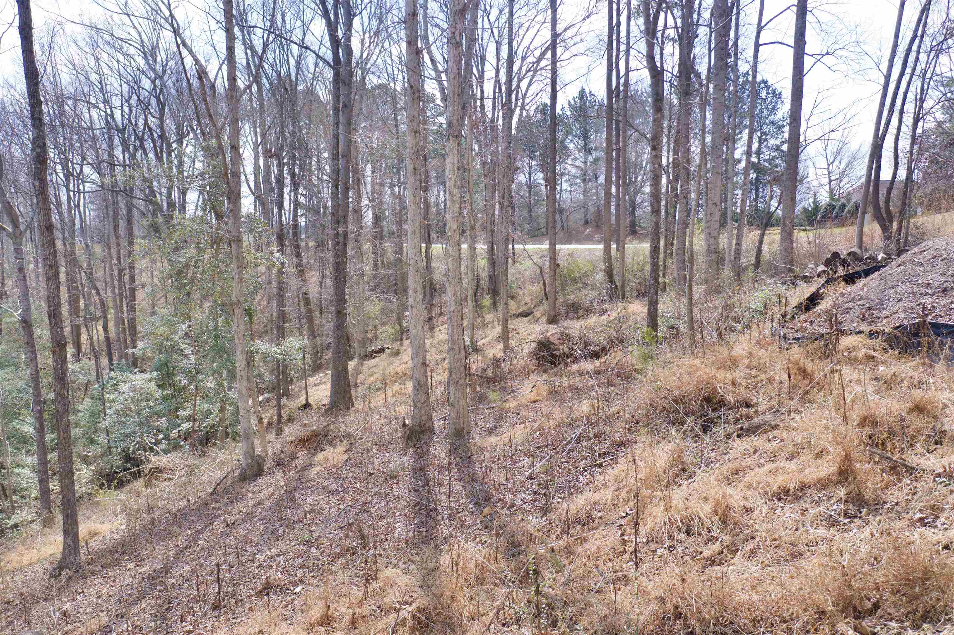 Lot 2 Buck Creek Road Chesnee, SC 29323 - Photo 15 of 15