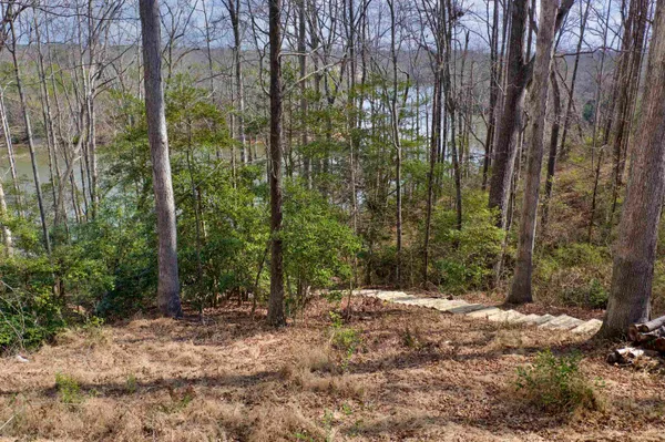 $165,000 | Lot 2 Buck Creek Road, Chesnee, SC 29323