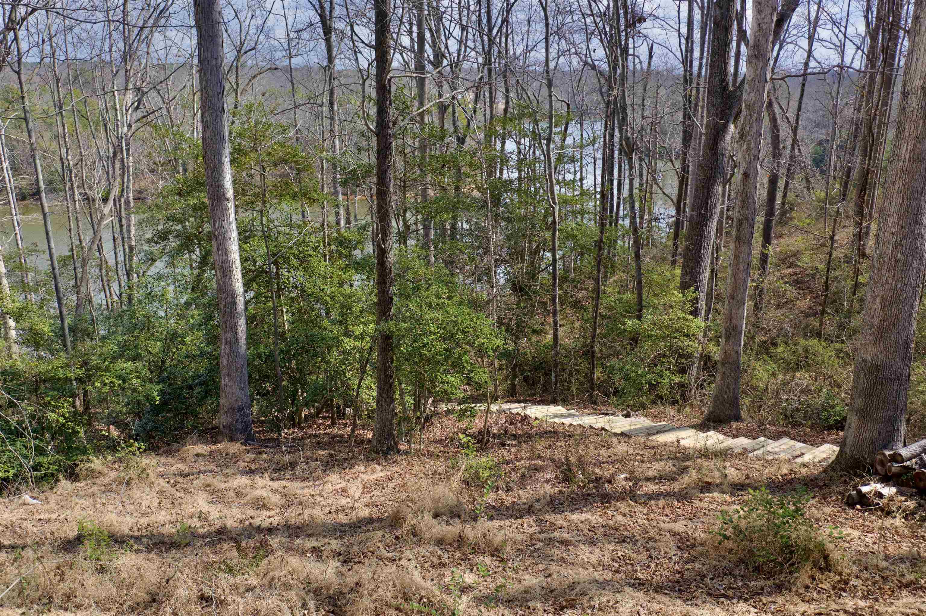 Lot 2 Buck Creek Road Chesnee, SC 29323 - Photo 5 of 15