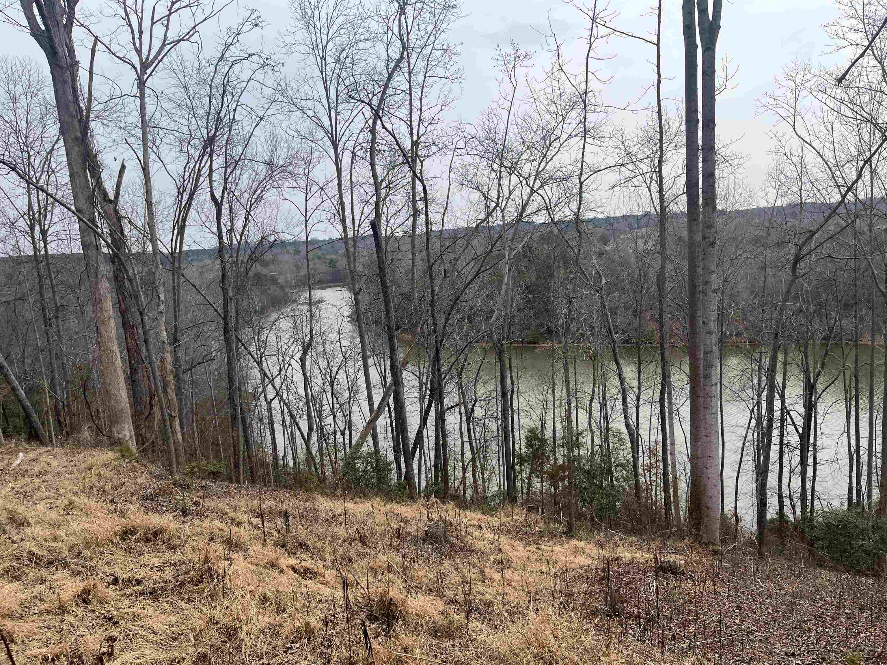 Lot 2 Buck Creek Road Chesnee, SC 29323 - Photo 6 of 15