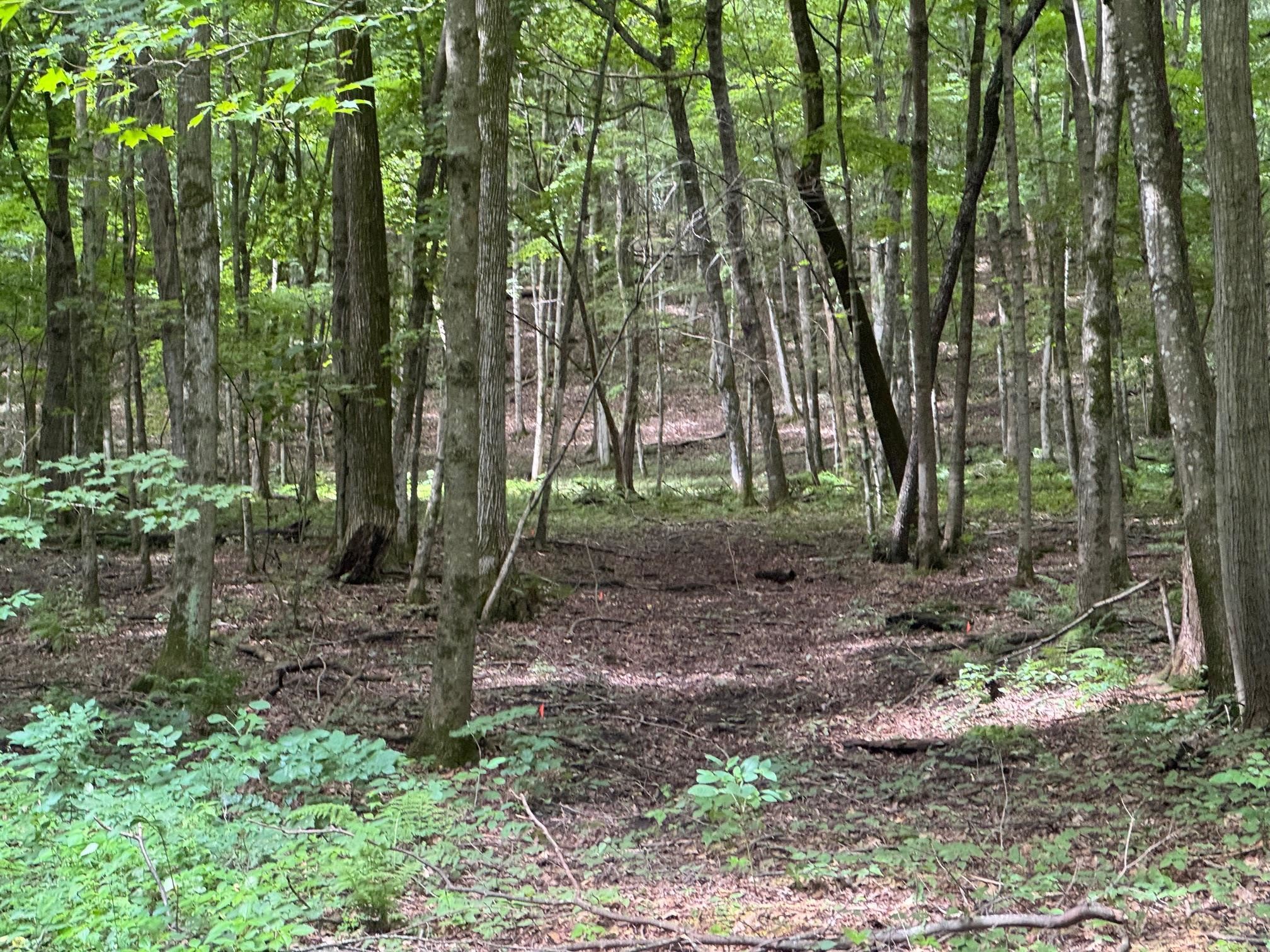 17497 Gross Valley Road Hillsboro, WI 54634 - Photo 4 of 15