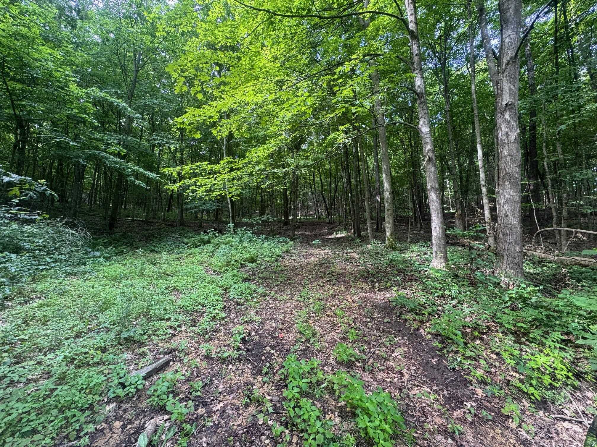 17497 Gross Valley Road Hillsboro, WI 54634 - Photo 5 of 15