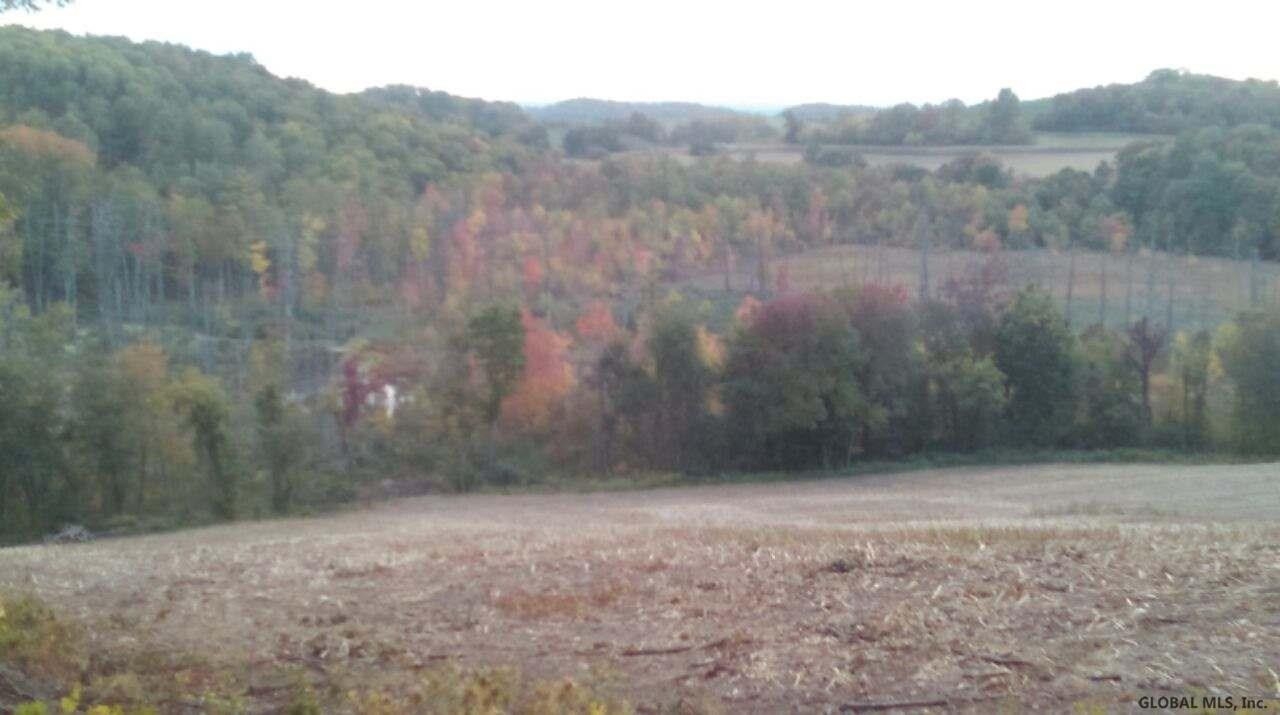 281 Saunders Road Argyle, NY 12809 - Photo 3 of 7 Photo 3