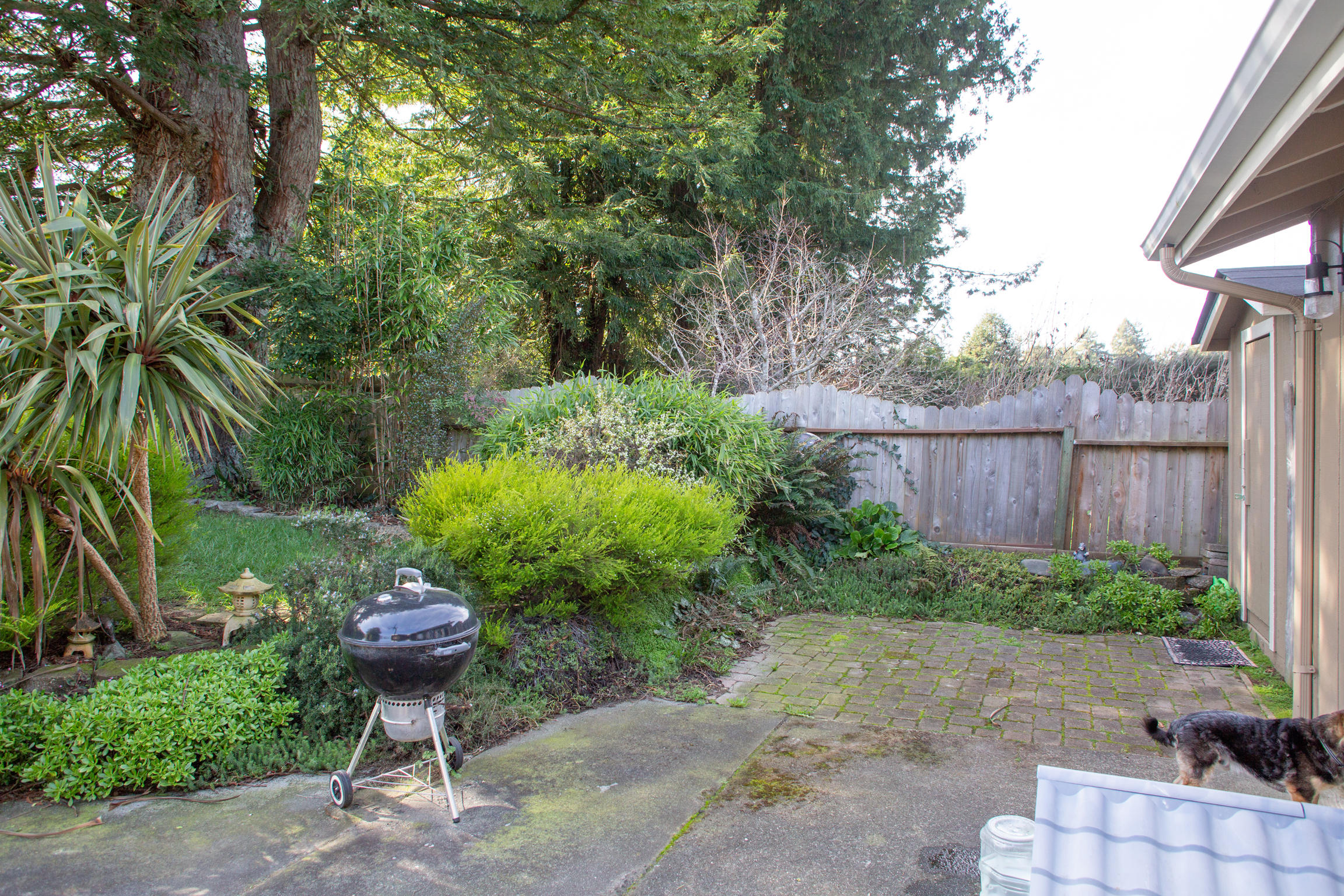1396 Leslie Road Cutten, CA 95503 - Photo 23 of 40 _A2B8911
