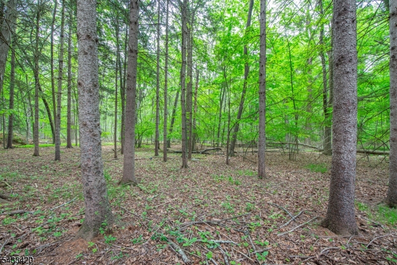 181 Center Grove Road Randolph, NJ 07869 - Photo 47 of 49